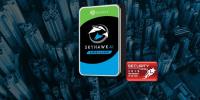SEAGATE SKYHAWK 10TB 7200RPM 256MB 3.5" SATA3 7x24 Güvenlik Diski ST10000VE0008